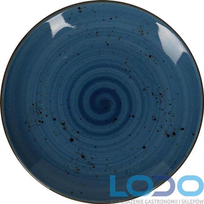 Talerz płytki Iris 240mm